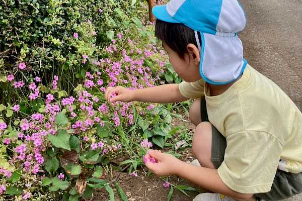 自然とのふれあい